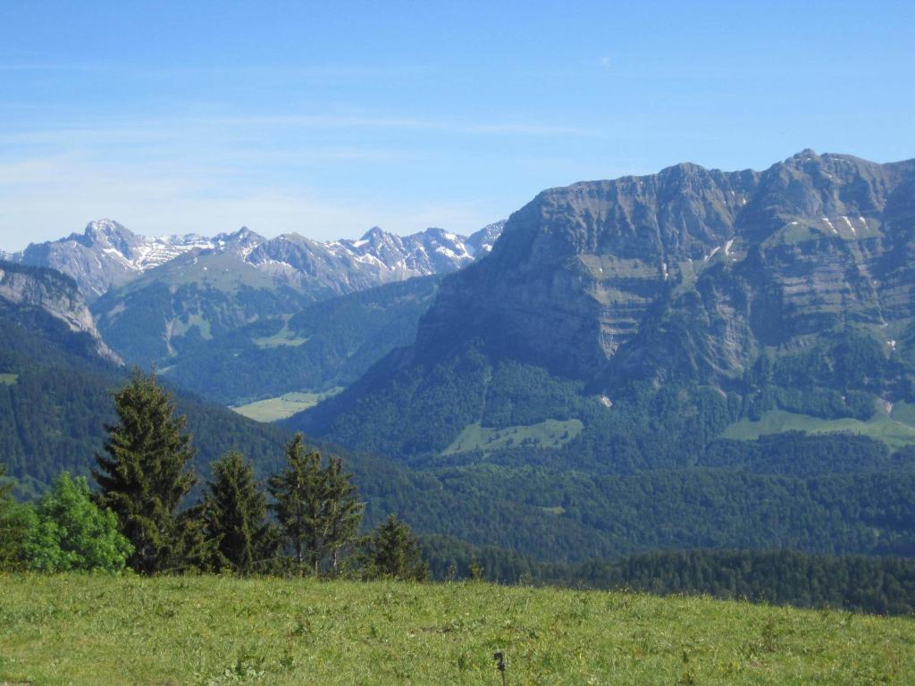 Apart Greber Andelsbuch Exterior foto